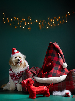 Gifts for Pets